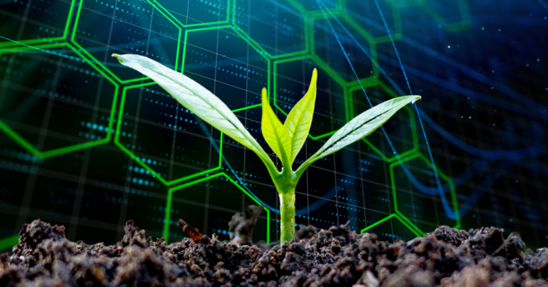 latest news: Machine Learning Uncovers New Targets for Plant Engineering 